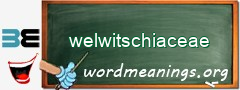 WordMeaning blackboard for welwitschiaceae